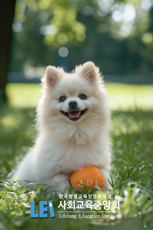 강아지가 핥는 이유 및 펫보험 관련 관심자에 '무료 수강' 반려동물관리... - 뉴스 썸네일 이미지