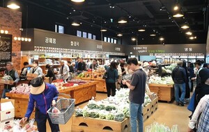 로컬 브랜드의 경쟁력은 이름표 하나에서 시작된다 - 뉴스 썸네일 이미지